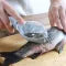 Fish Skin Brush Scraping Fish Scale Brush Grater Qu